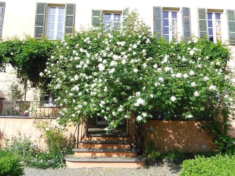 Bed & Breakfast Villa Il Palazzo