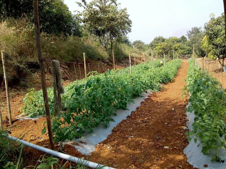 Hotel Megh Malhar Agro Tourism
