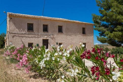 Hostal The Olive Tree