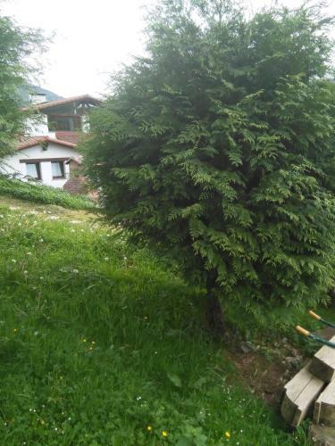 Hostal Haizeaberri