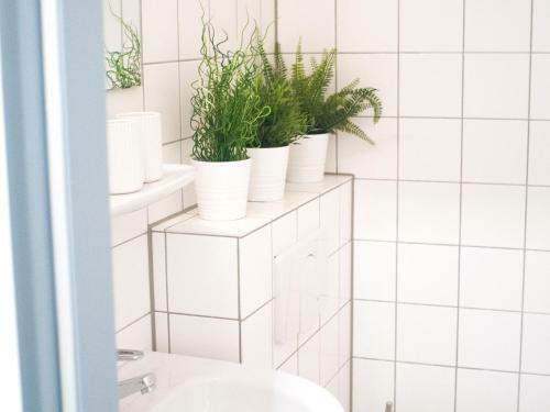 Apartamentos Relax Aachener Boardinghouse Phase 3