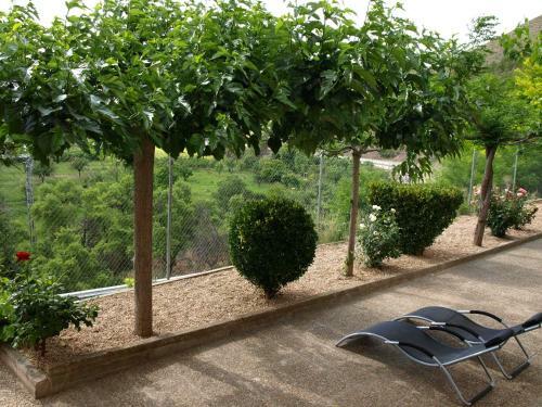 Suite Rural Carenas