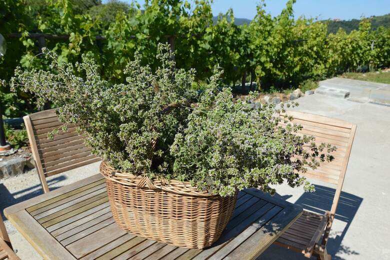 Apartamentos La Casa Di Nonna Carlotta