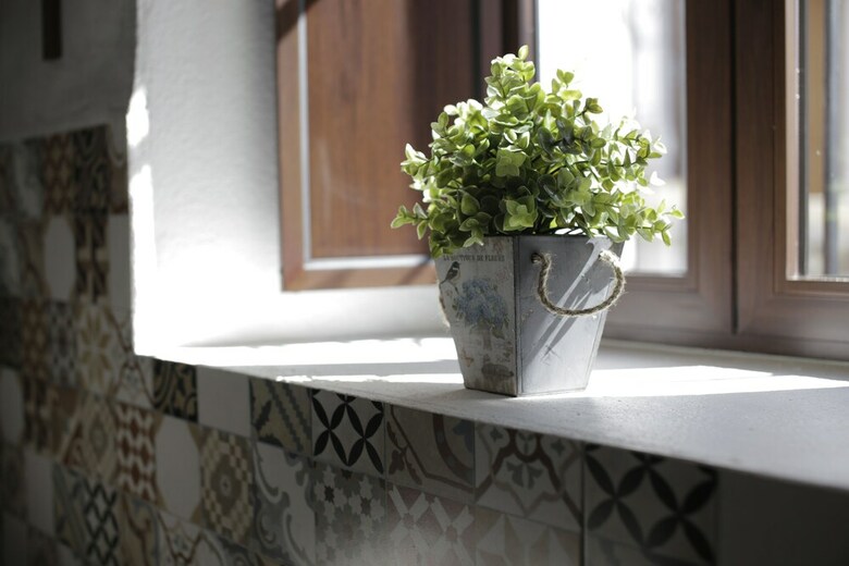Bed & Breakfast Alojamiento Rural El Pinsapo