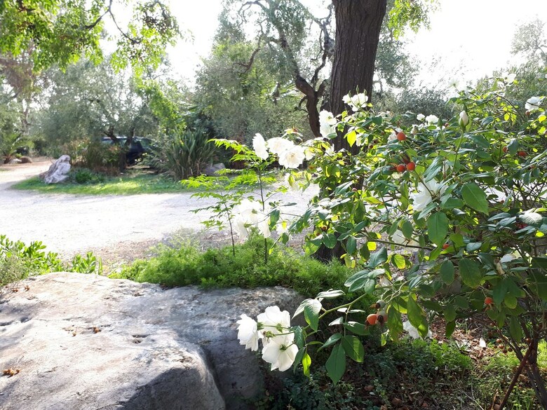 Agroturismo Agriturismo Le Vedute