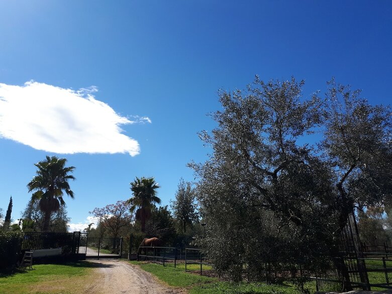 Agroturismo Agriturismo Le Vedute