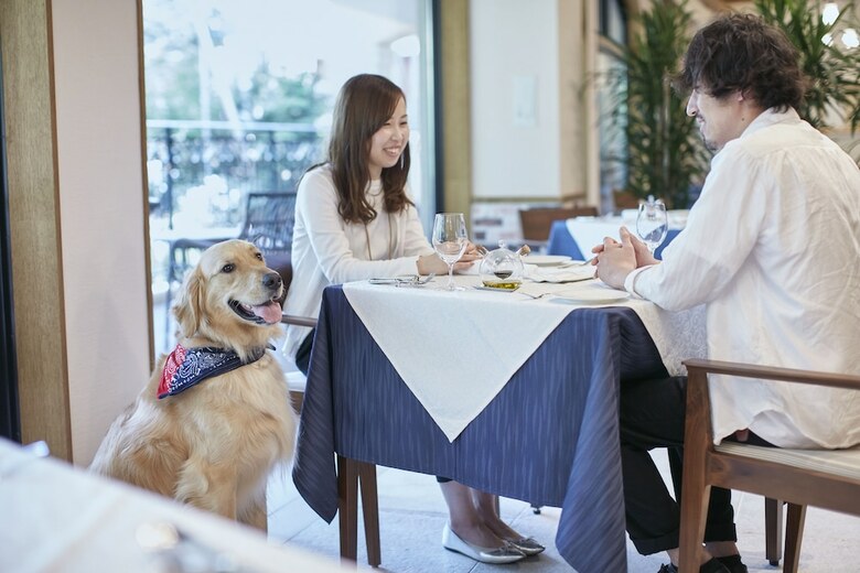 Hotel Le Chien Kyuu Karuizawa