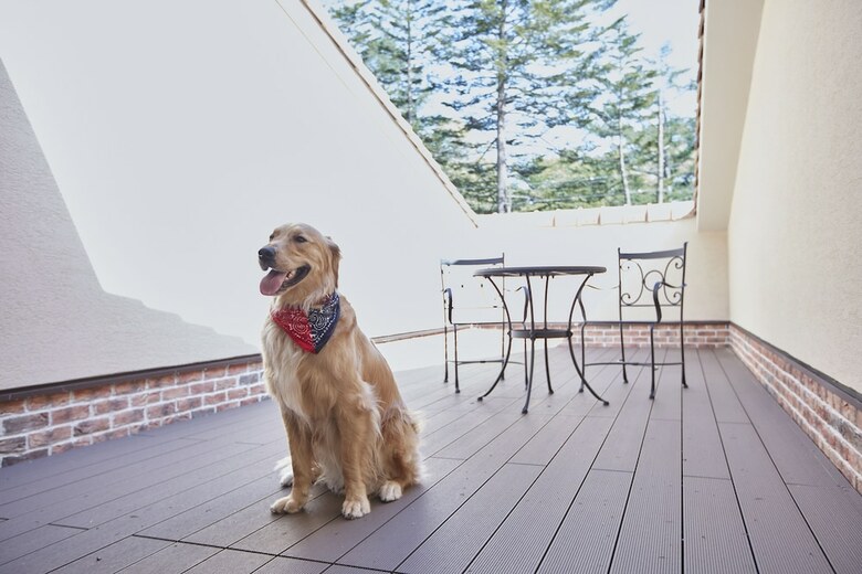 Hotel Le Chien Kyuu Karuizawa