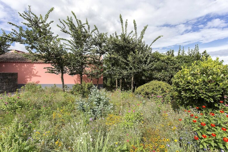 Agroturismo Quinta Dos Peixes Falantes