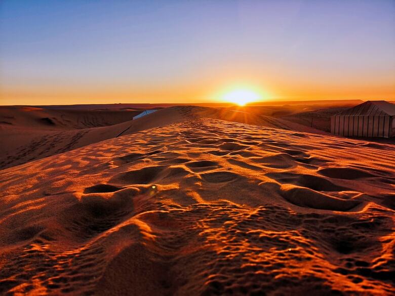 Sahara Royal Camp