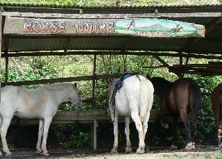 Hotel Arenal Lodge
