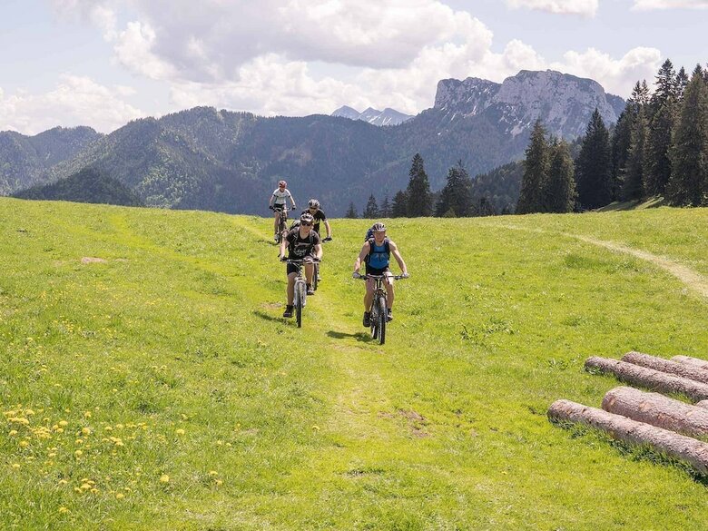 Pension Haus Wildbach