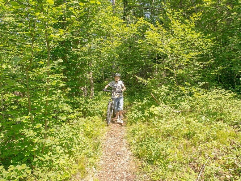 Pension Haus Wildbach