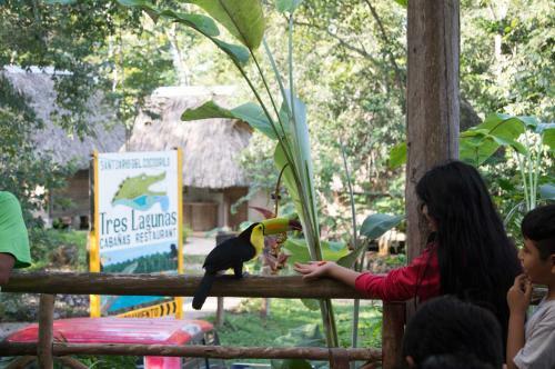 Lodge Tres Lagunas, Selva Lacandona