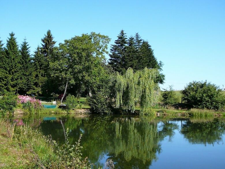 Cabane Dans Les Arbres - Tree House