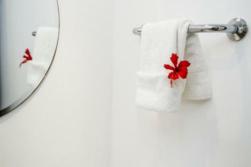 Apartamentos Karibo Punta Cana