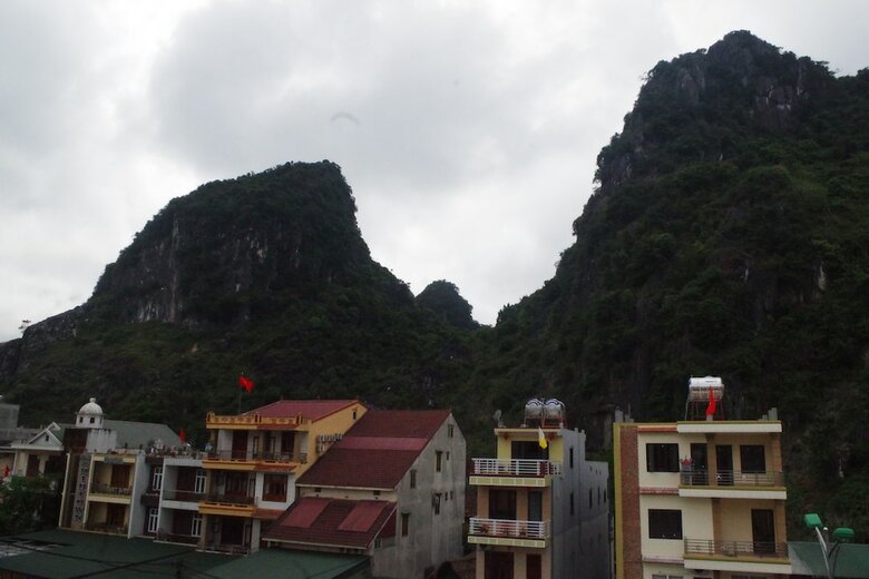Hotel Golden Forest Homestay