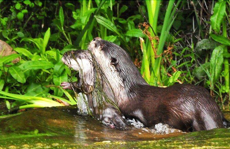 Posada Ecca Lodge
