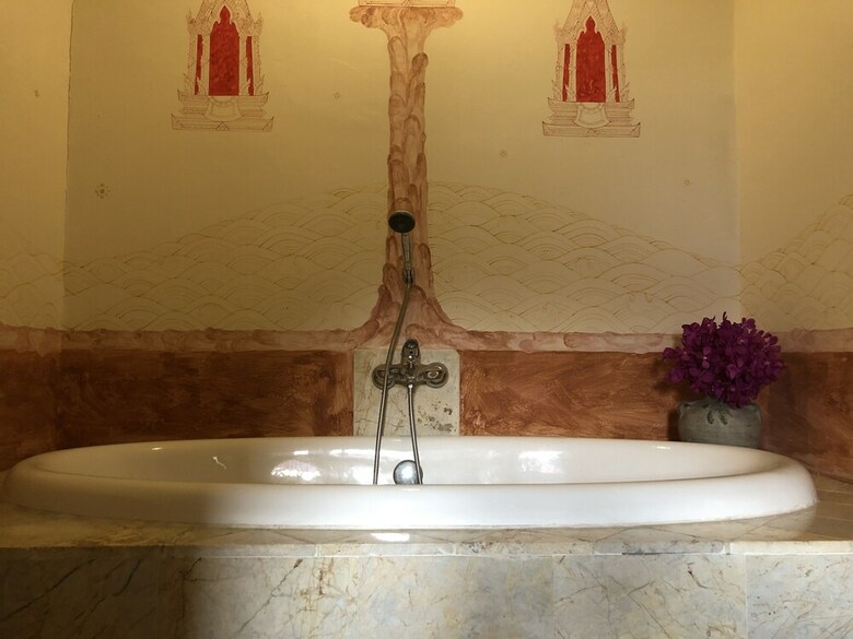 Hotel Amaravati Wellness Center And Resort