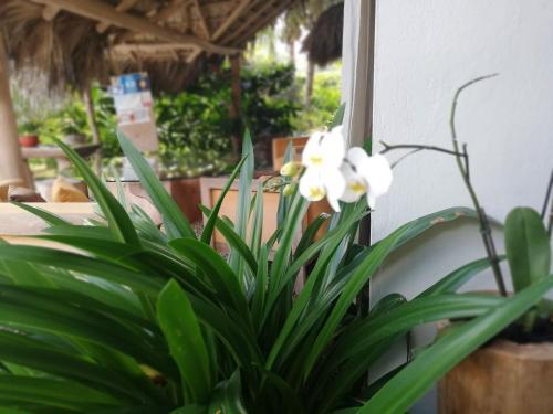 Aparthotel Residencia El Balat�