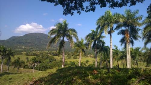 Bed & Breakfast Real Dominican Republic Discovery