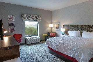 Hotel Hampton Inn Black Mountain