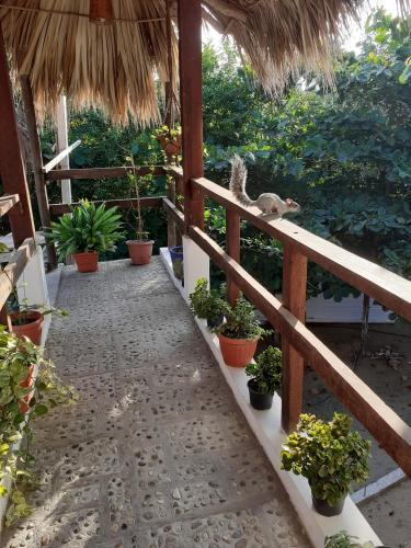 Hotel Bungalows Mazunte Tierra Viva