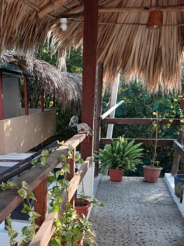 Hotel Bungalows Mazunte Tierra Viva