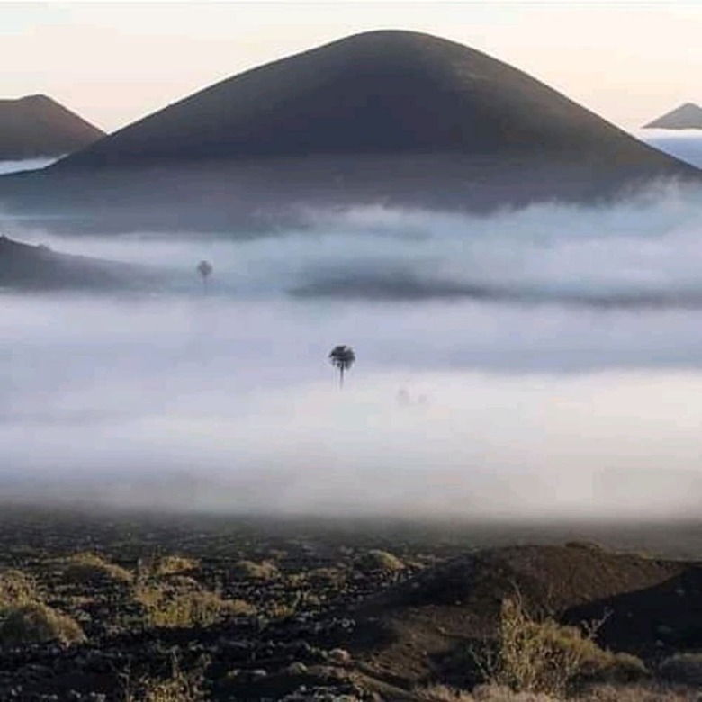 Villas Mamma M�a Luxes Lanzarote