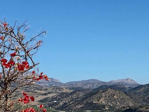 Apartamento Penthouse Alora