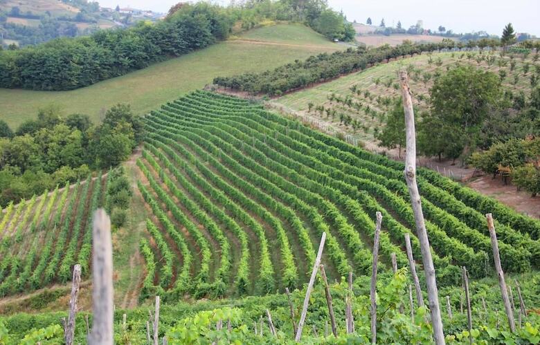Agroturismo Agriturismo I Galli