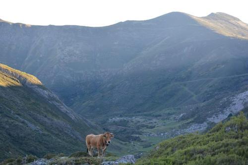 Hostal Hotel Rural La Corte