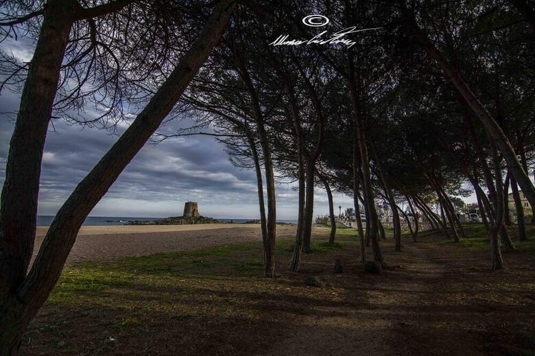 Apartamento Domus Mia