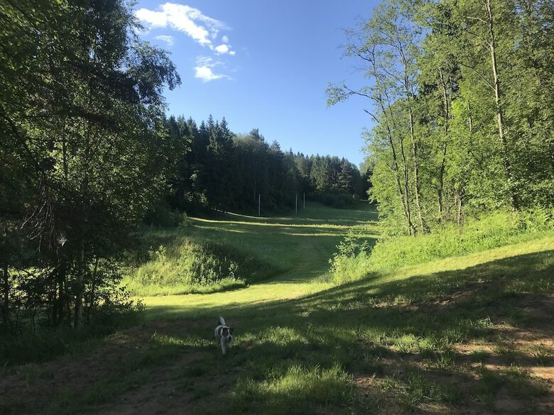 Park Hotel Grishkino