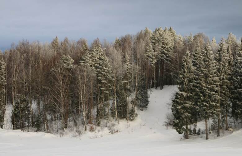 Park Hotel Grishkino