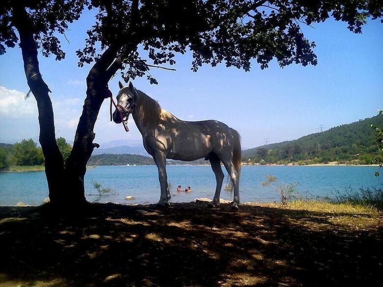 Bed & Breakfast Les Gites Du Lac - Chambre D'hotes