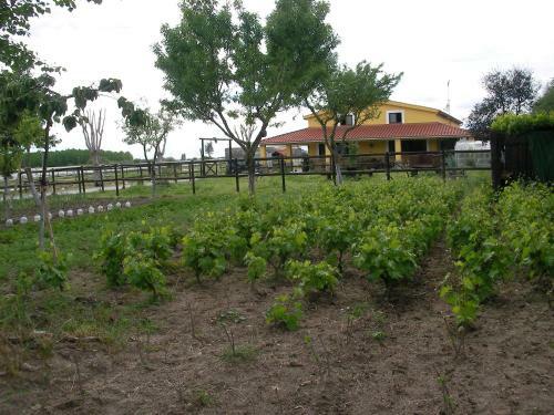 Hostal La Posada H�pica