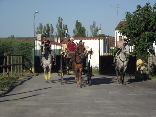 Hostal La Posada H�pica