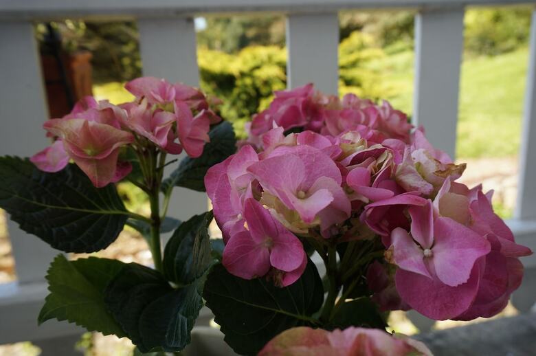 Hotel B&B Le Clos Saint-jean - Omaha Beach