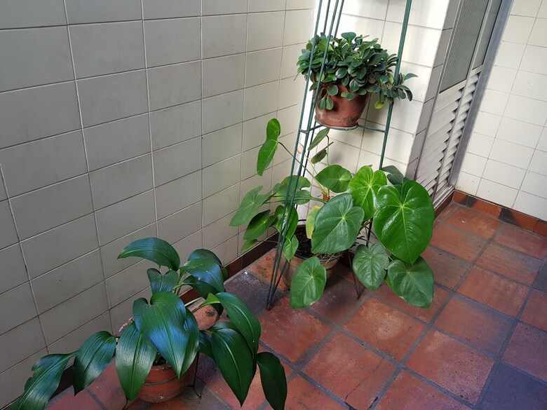 Apartamentos Leblon Pra�a Antero de Quental