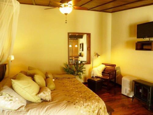 Bed & Breakfast Finca Vibran B & B