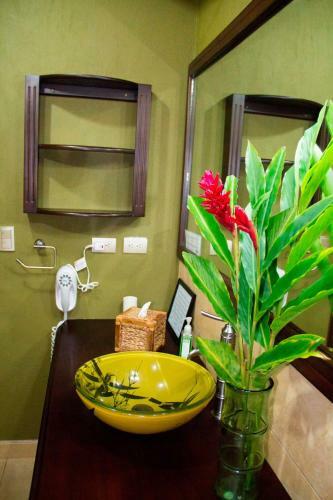 Bed & Breakfast Finca Vibran B & B