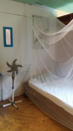 Funky Manza Hostel