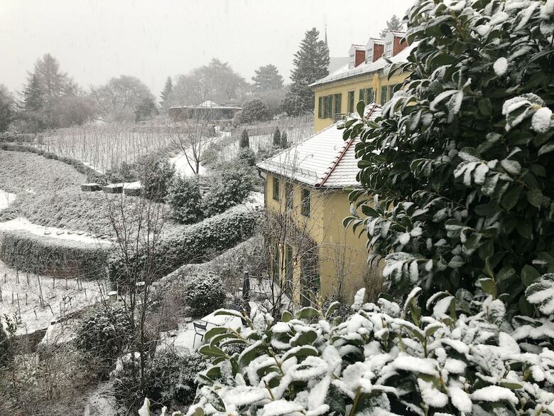 Rebenhaus Mei�en