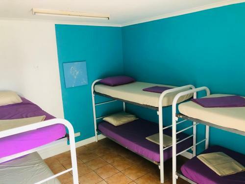 Hostal Darwin Hostel