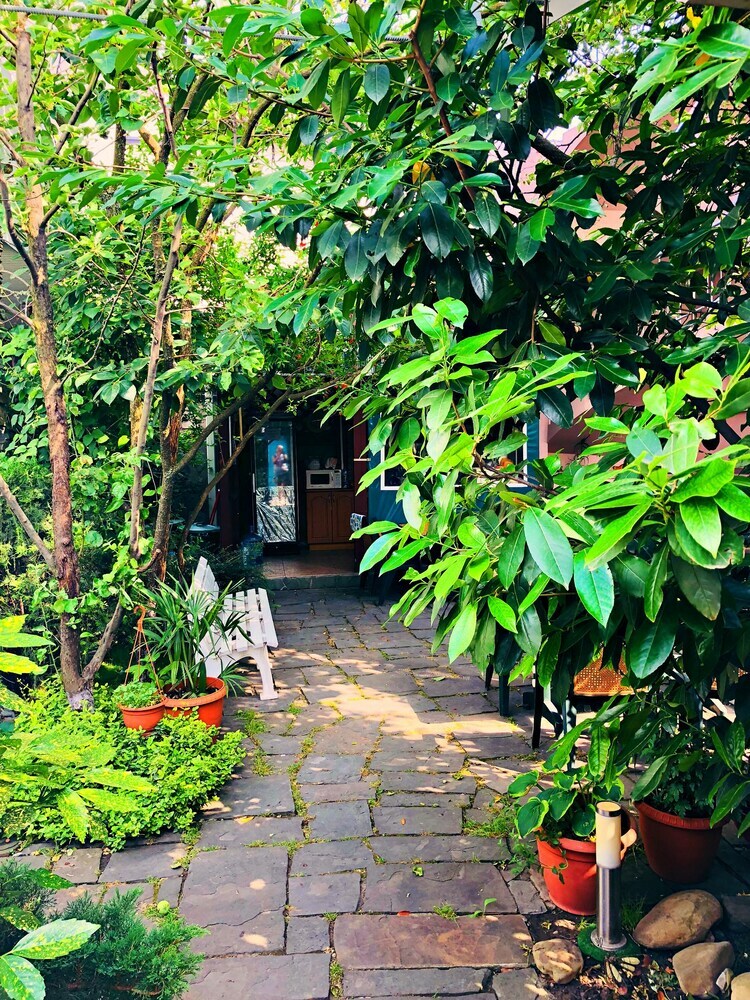 Bed & Breakfast Abrikos