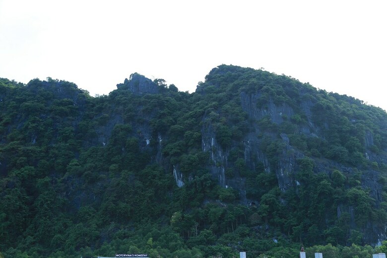 Hotel Queen Ponaland Homestay