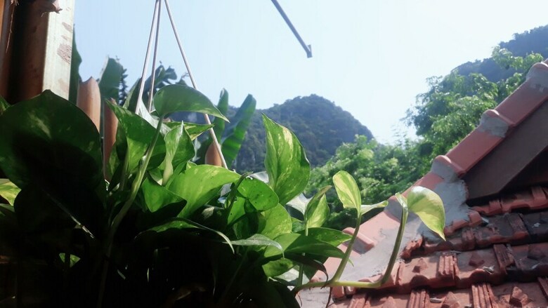 Hotel Queen Ponaland Homestay
