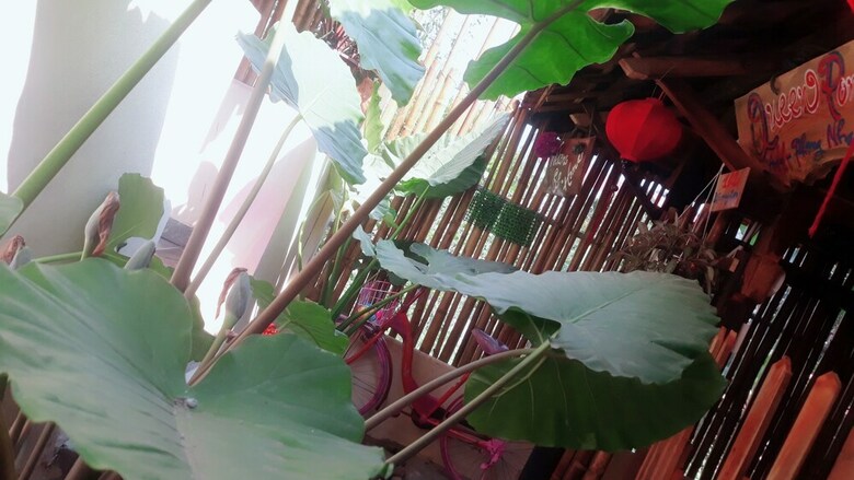 Hotel Queen Ponaland Homestay