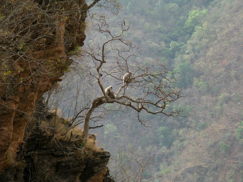 Hotel Auranya The Mystical Himalayan Retreat